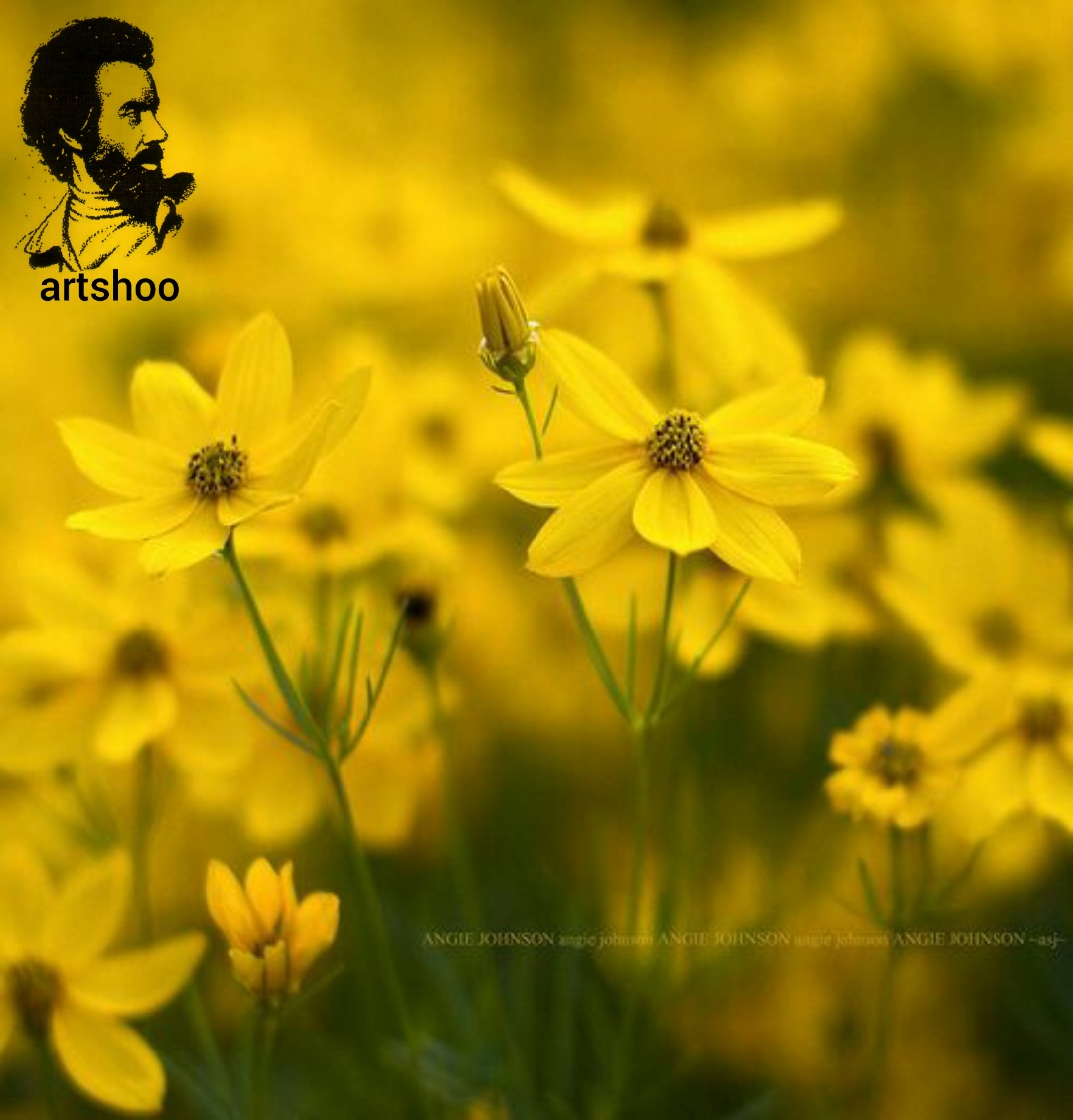 گل اورژینال رنگ روغن